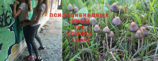 твердый Костерёво