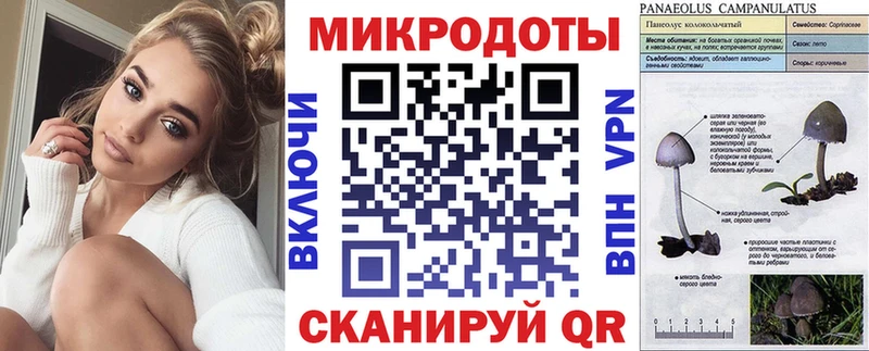 продажа наркотиков  Светогорск  Галлюциногенные грибы MAGIC MUSHROOMS 